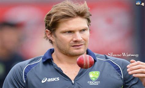 shane watson height|More.